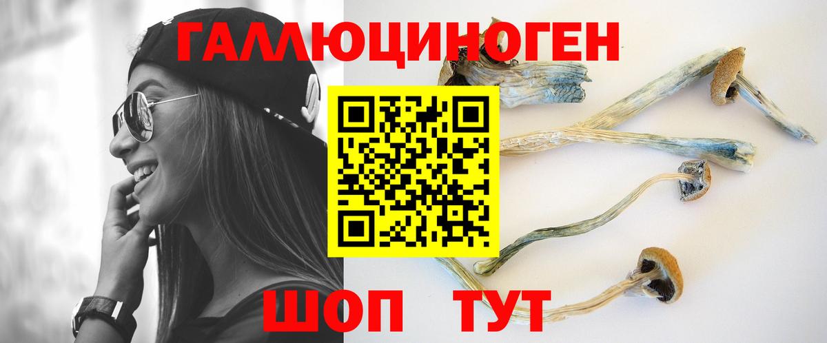 Славянск-на-Кубани  Псилоцибиновые грибы Magic Shrooms  Вход с VPN 