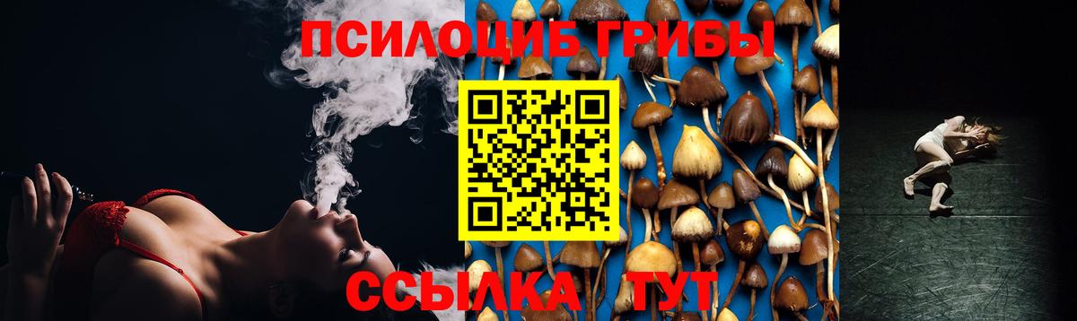 Галлюциногенные грибы мухоморы Славянск-на-Кубани